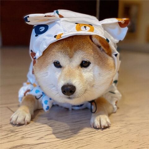 dショッピング