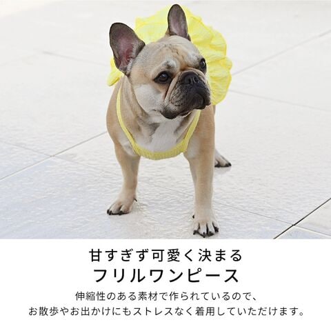 dショッピング