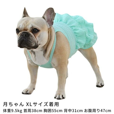 dショッピング