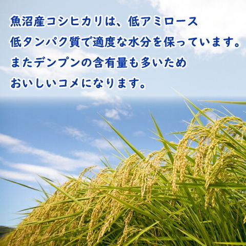 dショッピング