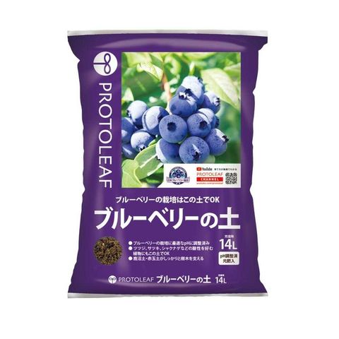 dショッピング