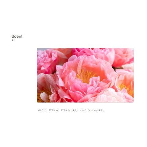 dショッピング