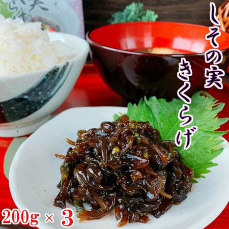 dショッピング サンプル百貨店