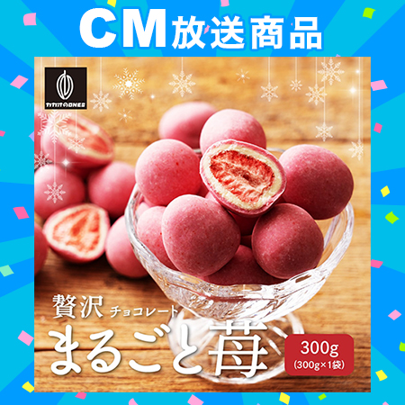 dショッピング サンプル百貨店