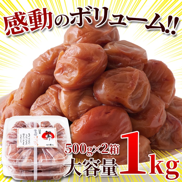 dショッピング サンプル百貨店