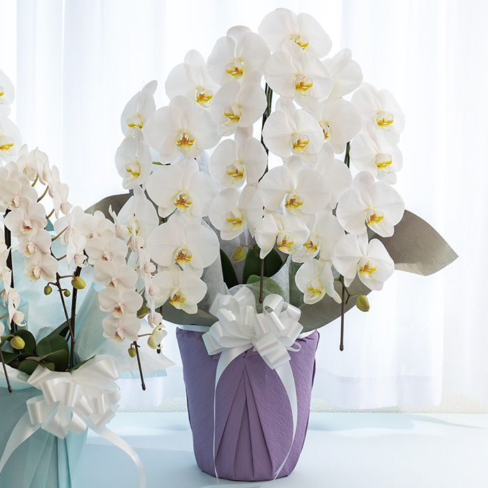 リンベル公式オンラインストア