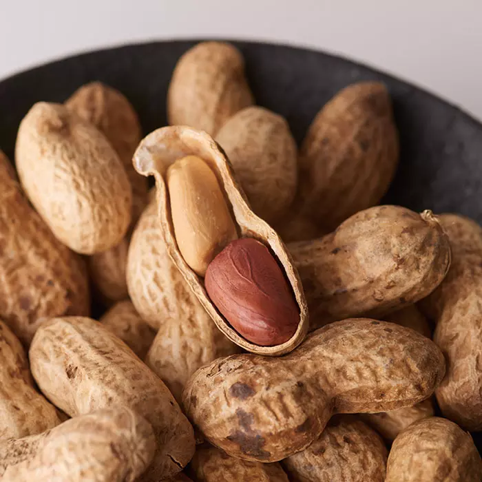 リンベル公式オンラインストア