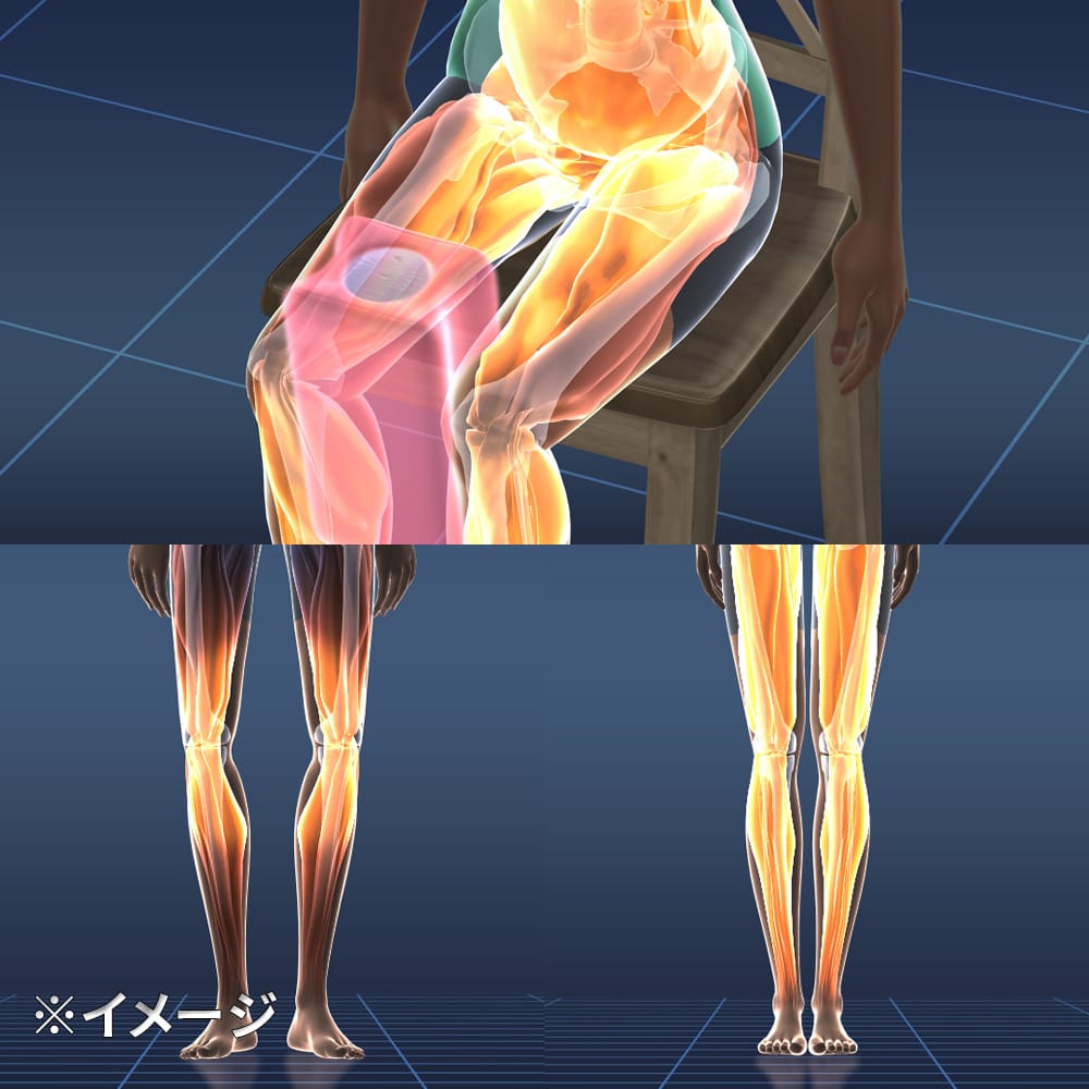 ディノス