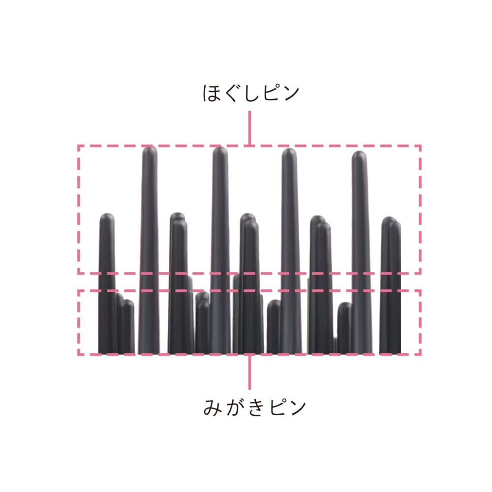 ディノス