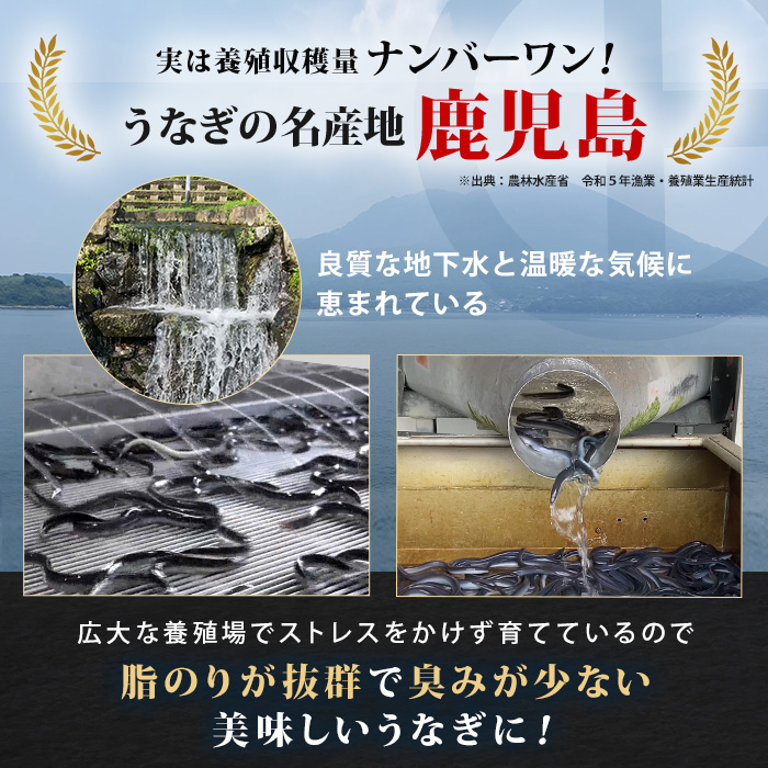 テレ朝通販ロッピング