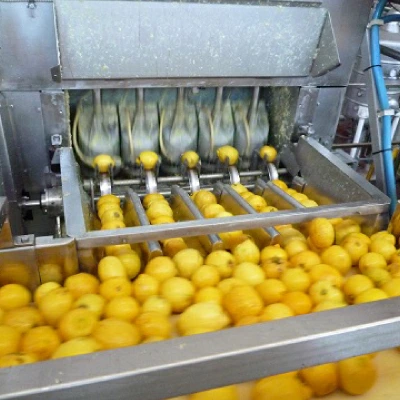 テレ朝通販ロッピング