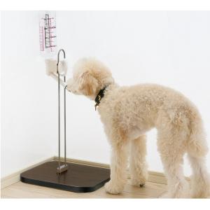 ペット用品の通販サイト ペピイ（PEPPY）