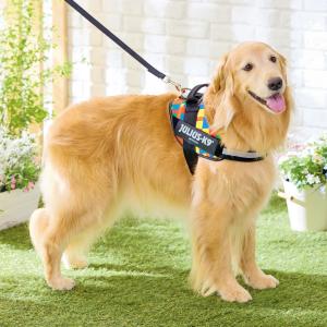 ペット用品の通販サイト ペピイ（PEPPY）