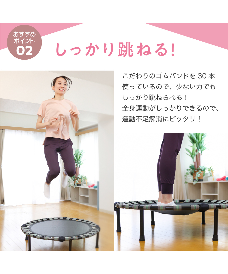 ヒマラヤオンライン