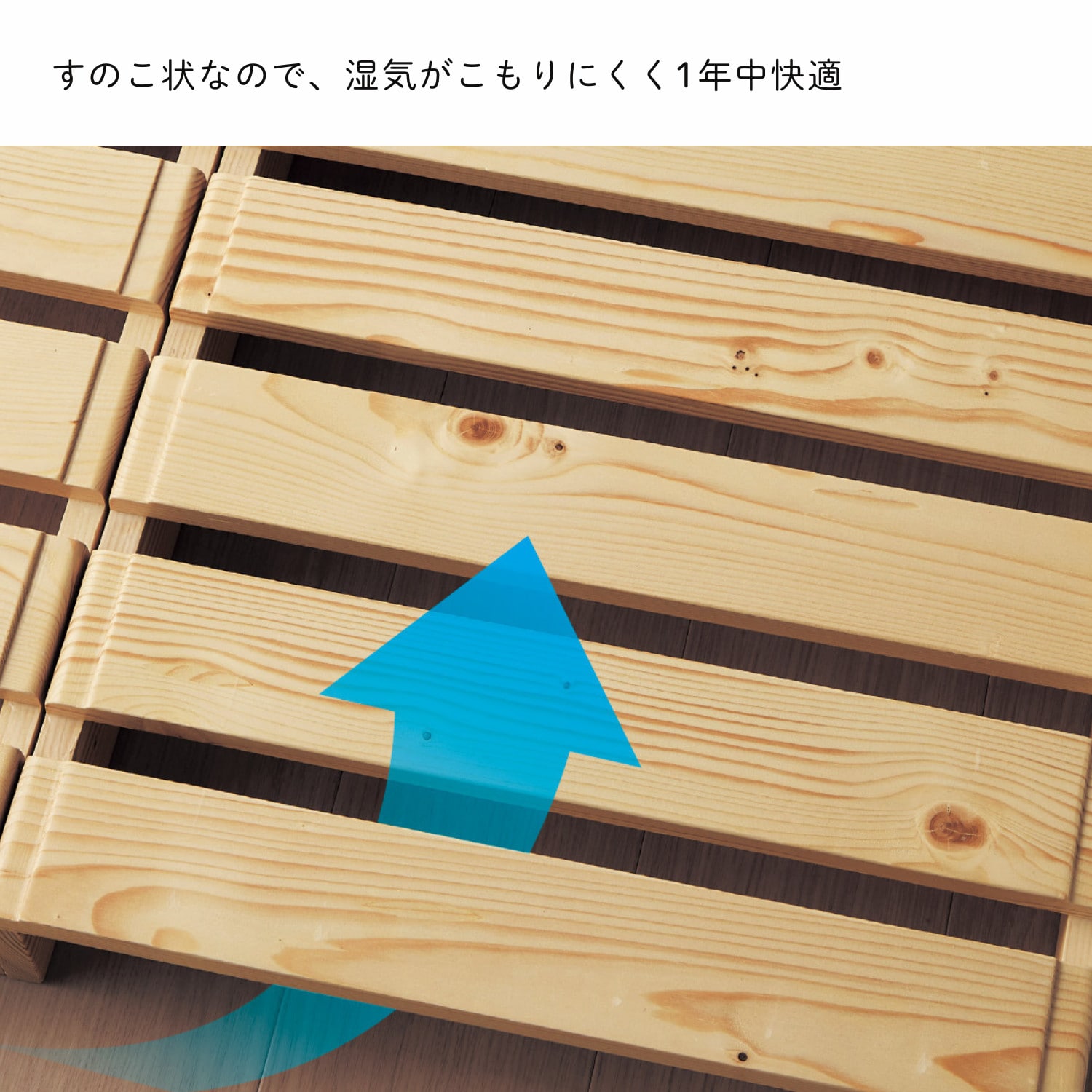 ベルメゾン