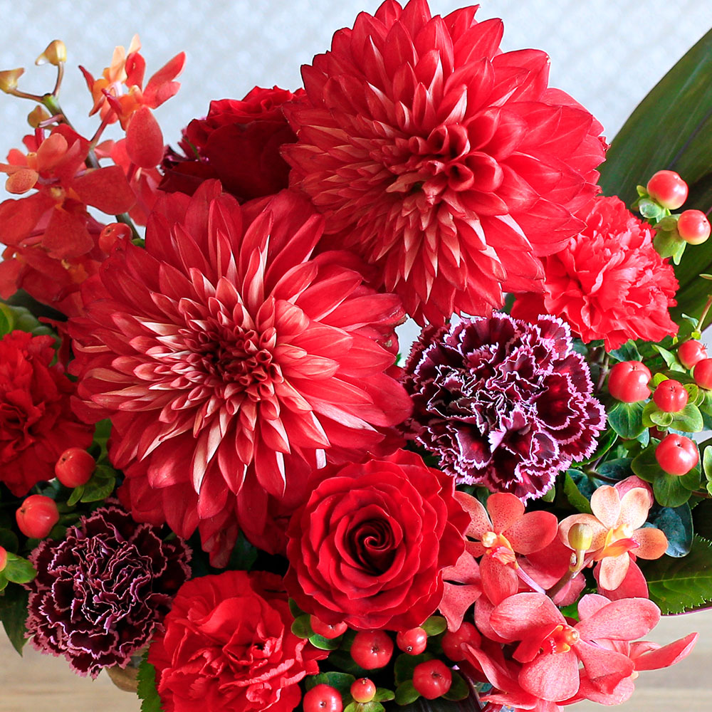 イイハナ・ドットコム