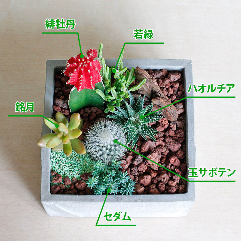 イイハナ・ドットコム