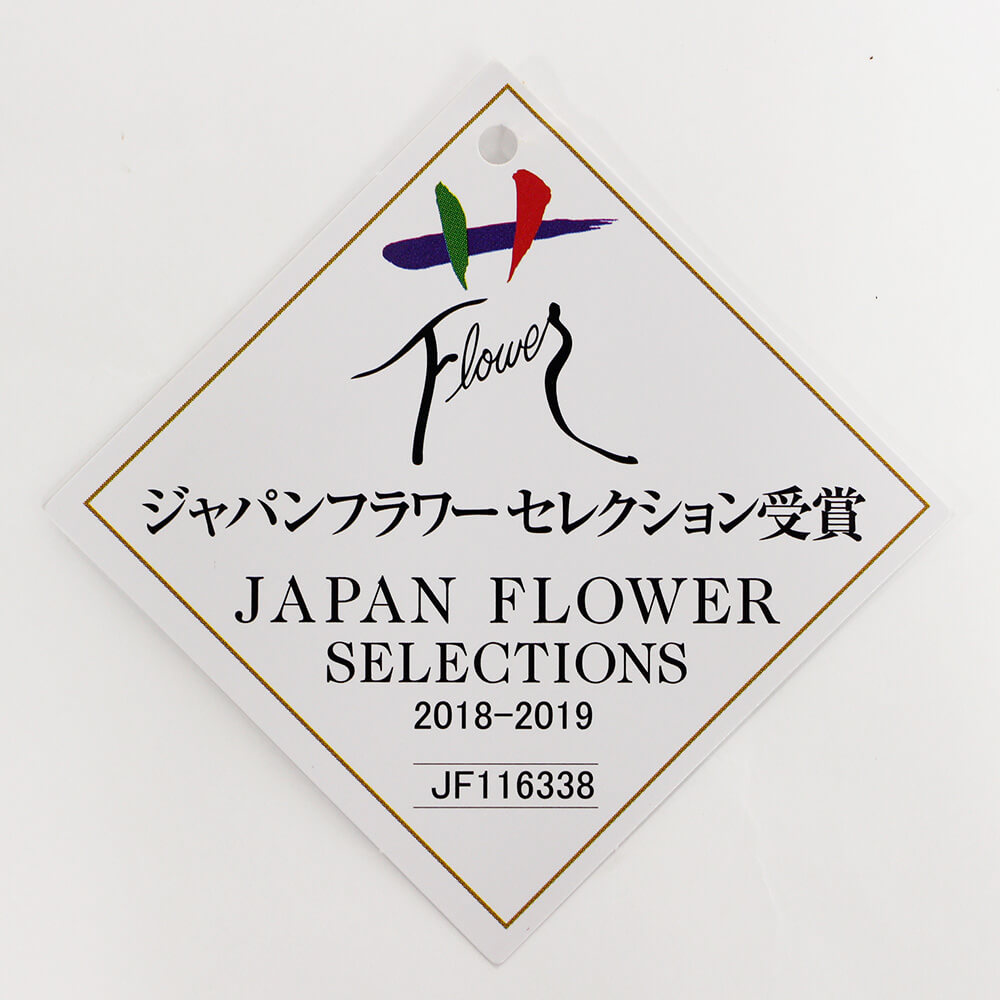 イイハナ・ドットコム