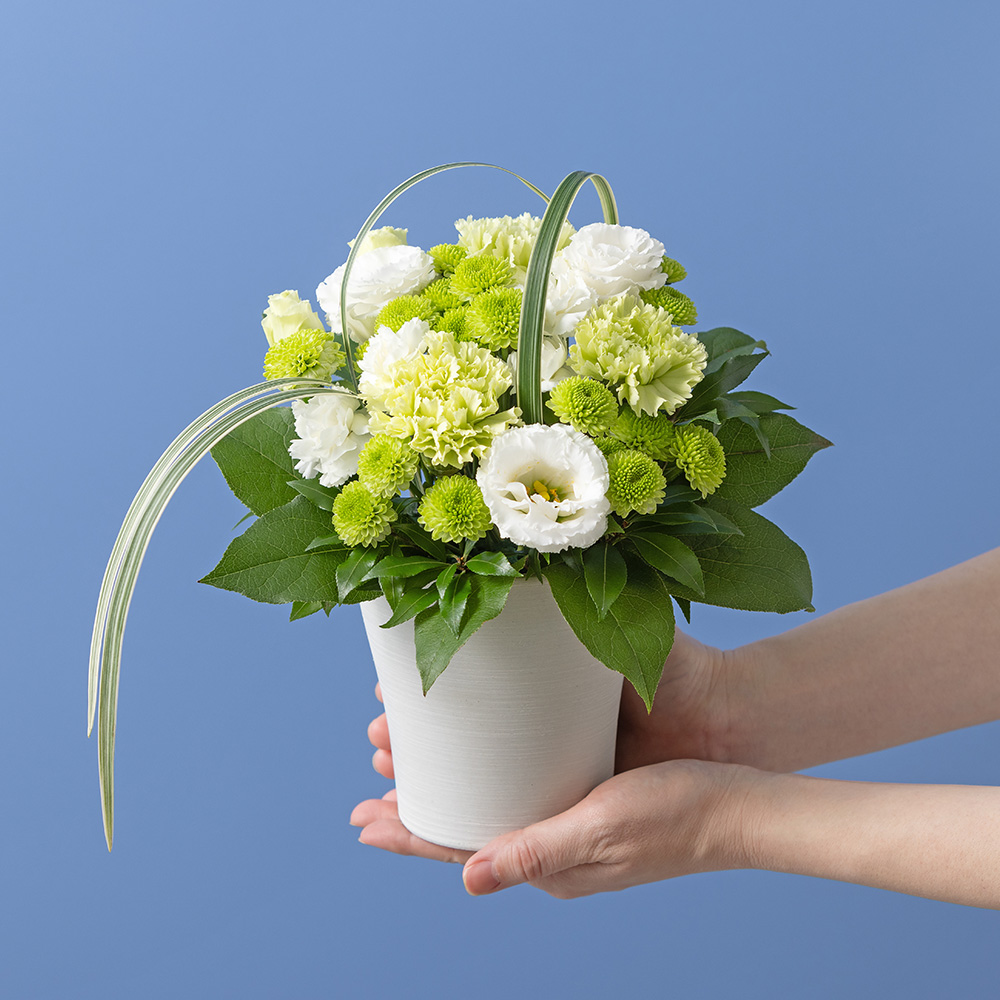 イイハナ・ドットコム