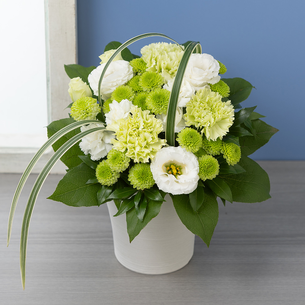 イイハナ・ドットコム