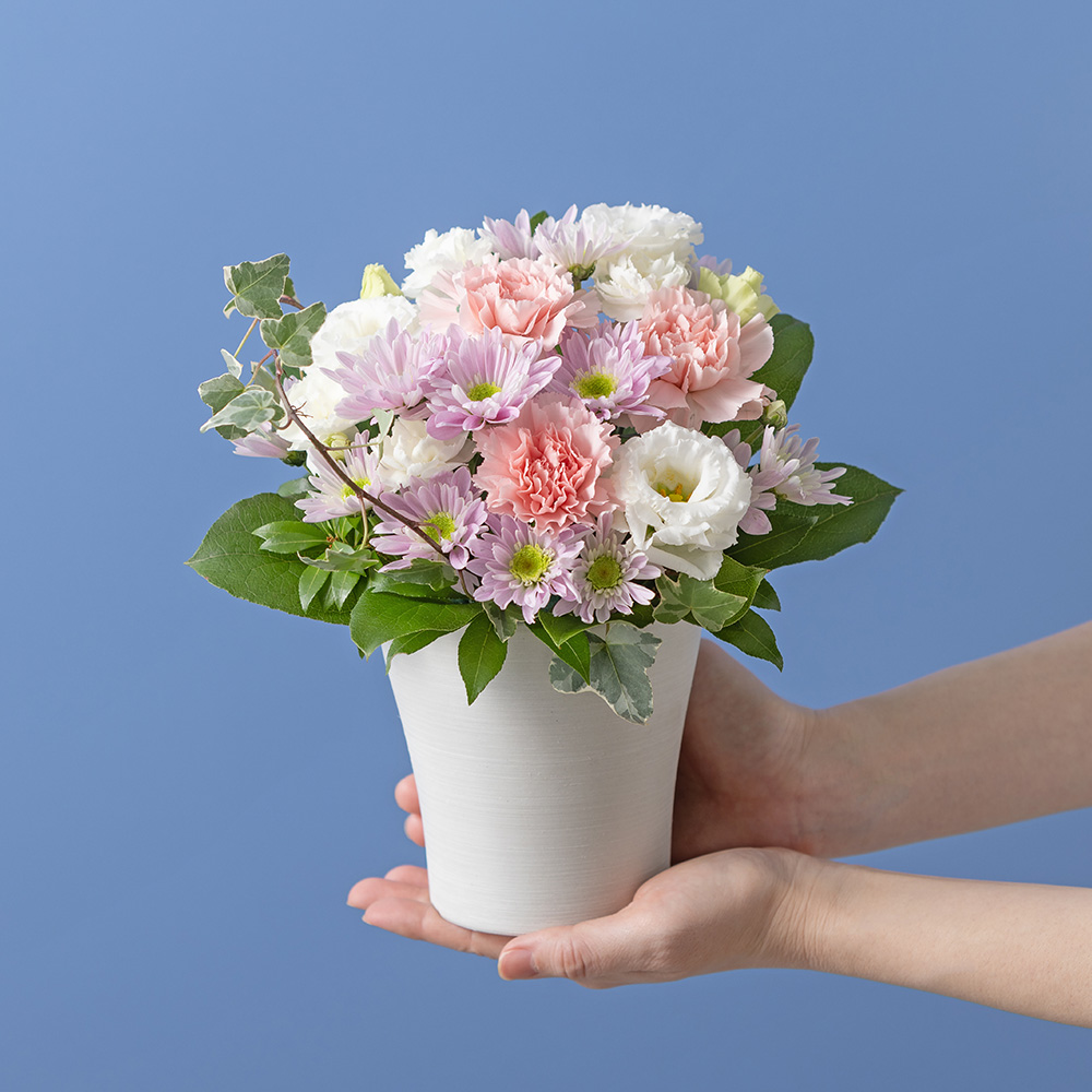 イイハナ・ドットコム