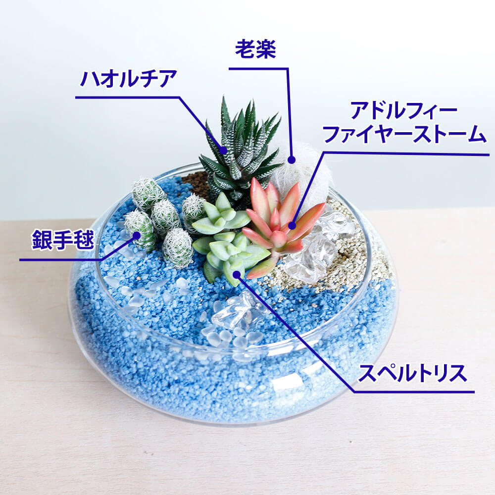 イイハナ・ドットコム