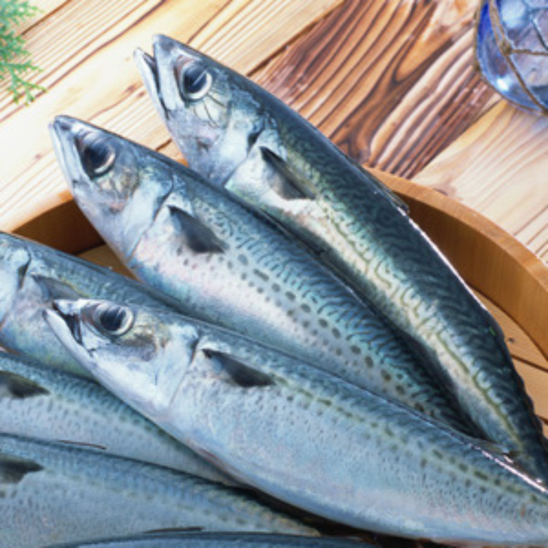 柿の葉寿司のゐざさ‐中谷本舗‐