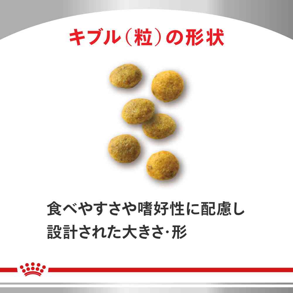 サンドラッグ Online Store