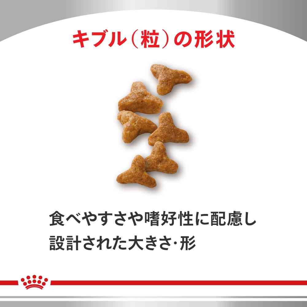 サンドラッグ Online Store