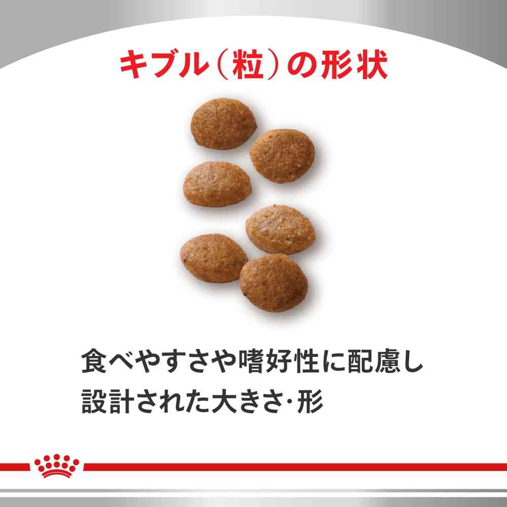 サンドラッグ Online Store