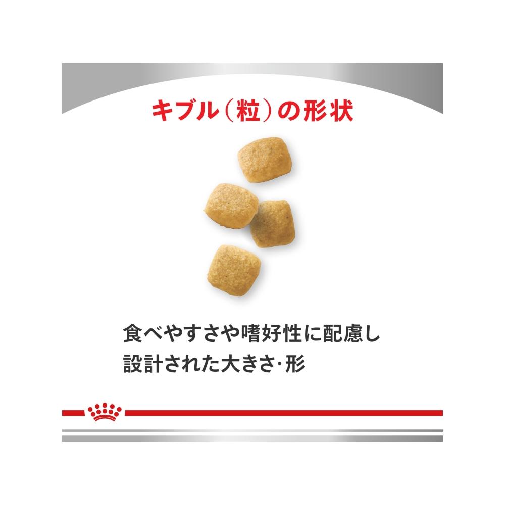 サンドラッグ Online Store