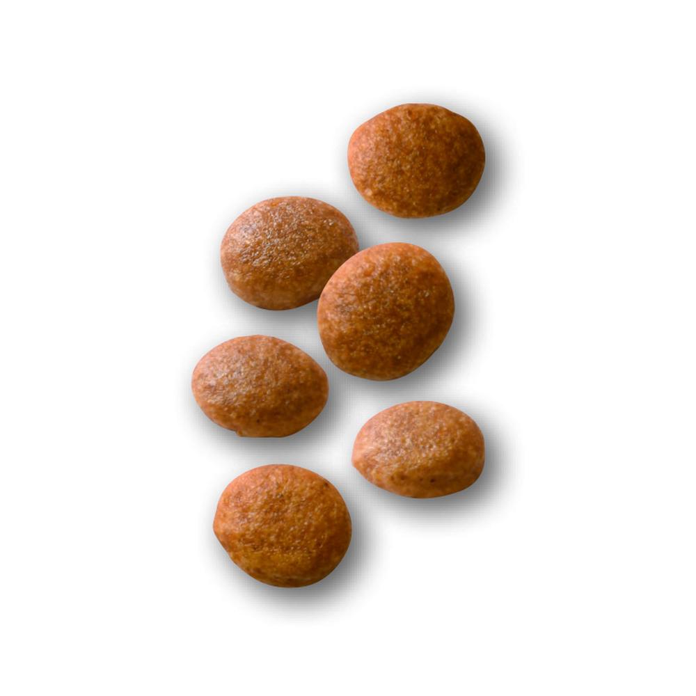 サンドラッグ Online Store