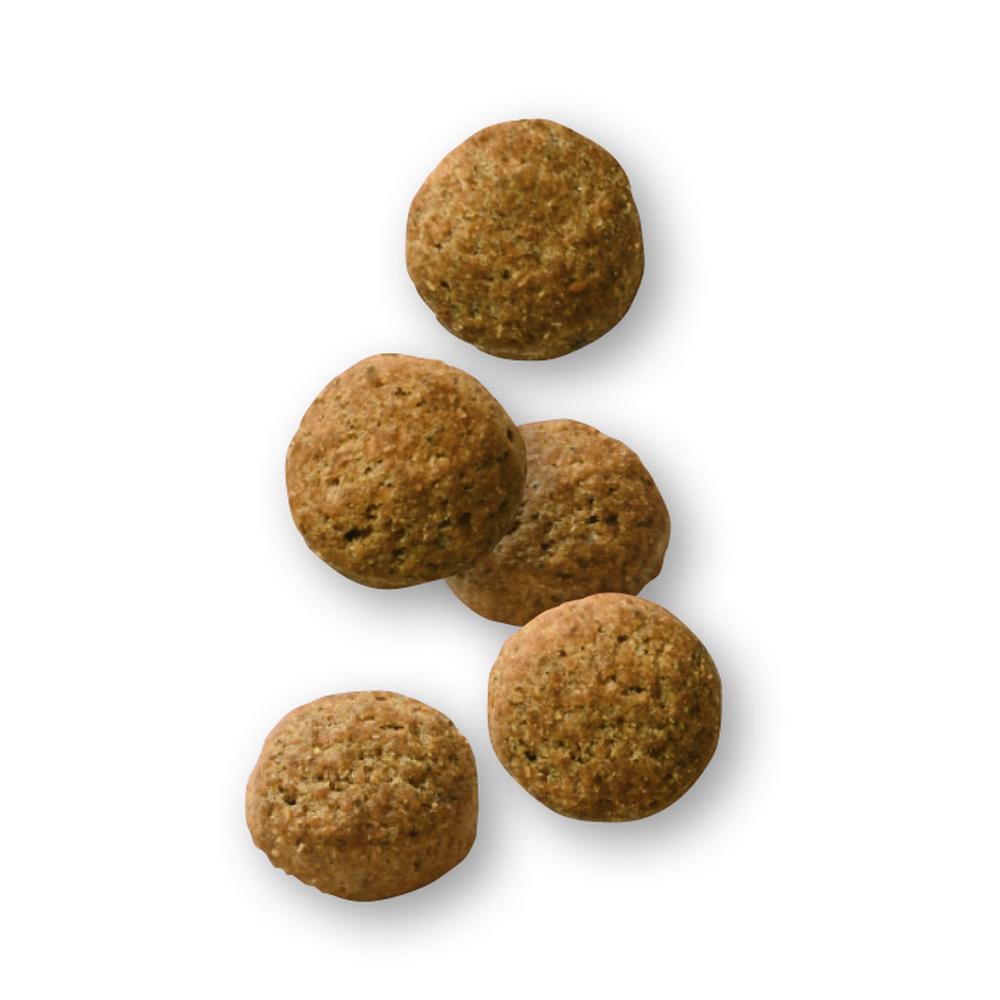 サンドラッグ Online Store