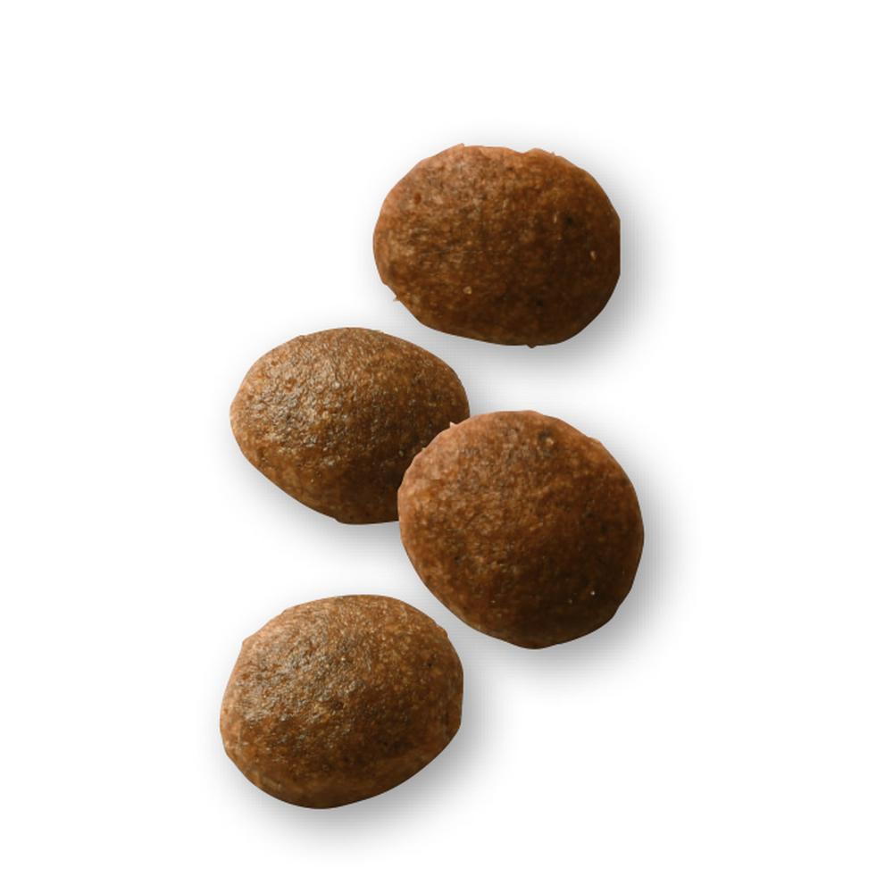 サンドラッグ Online Store