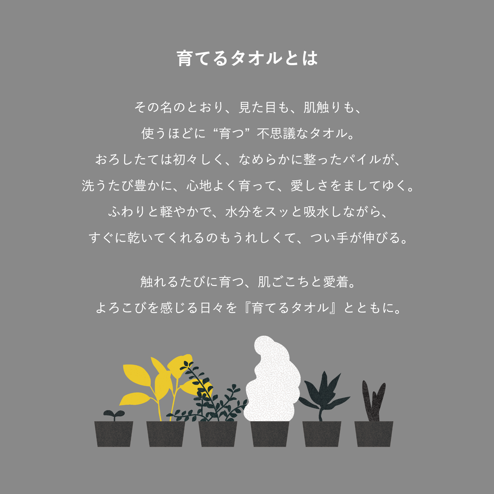 育てるタオル 公式online store